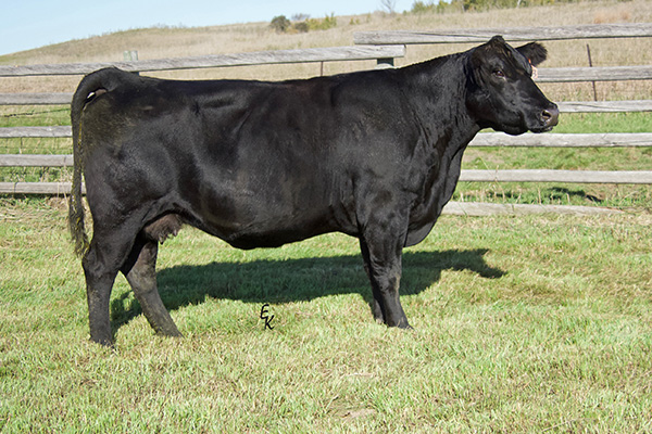 KS BRINN B939 Image
